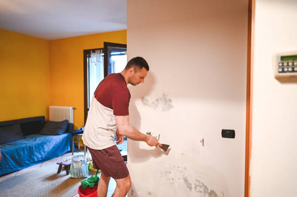 Trusted Hudson Bend, TX Mold Removal Experts